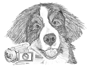 Hundeschermaschine