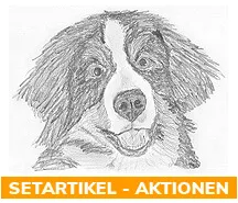 x% Hundescheren - Aktionen