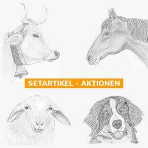 x%Aktionen%