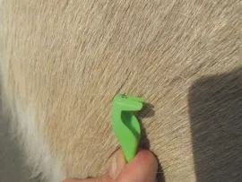 H3D Zeckenzange SMARTICK